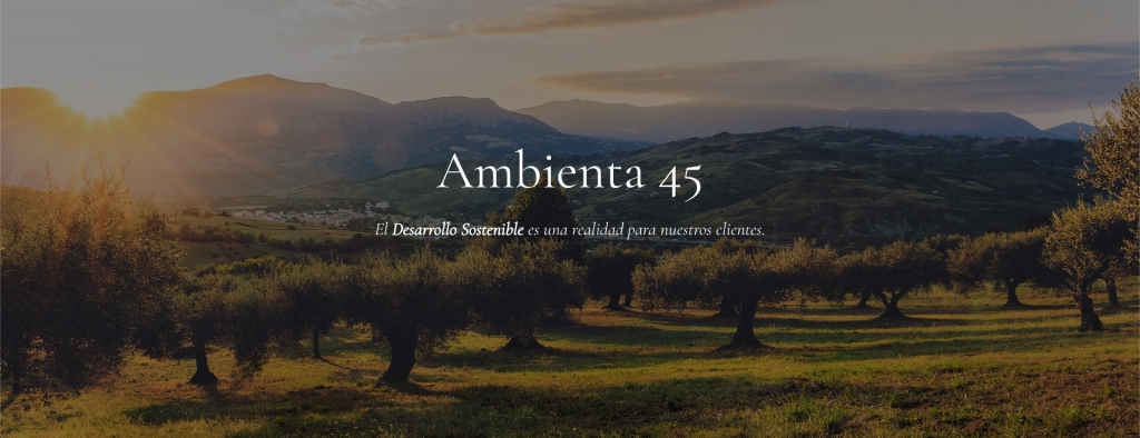 (c) Ambienta45.es